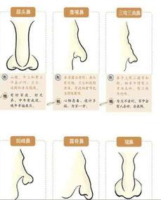 鼻梁高的图片,探寻东方脸庞的独特魅力