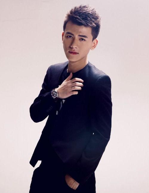 赫男演员,星光璀璨的演艺之路